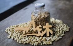 Sheng Wang - 咖啡豆商攝