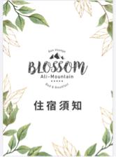 林鈺淳 - DM設計