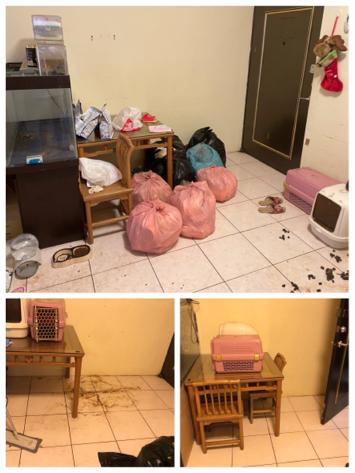 哇達美啦 - 前後照