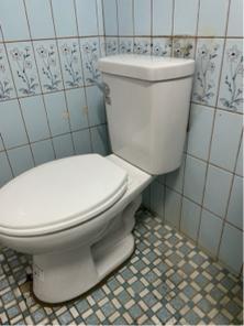 日光水電行 88584155 - 基本款馬桶安裝