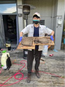 極淨環衛 - 白蟻防治 極淨環衛 - 白蟻防治