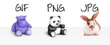 提供賺錢ptt服務的專家林姿吟