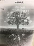 🌺玫瑰花園🌺/歡呼不斷 -  🌺玫瑰花園🌺/歡呼不斷 -