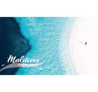 小·雨點美學設計/花藝 - 