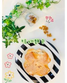 Katie || 繁簡體中文、英文打字、排版 ｜國語聽打逐字 - 