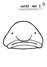 呂宜珍 - 水滴魚