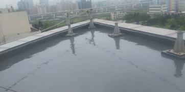 防水小偉 - 屋頂PU防水材施作完成面