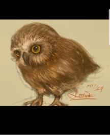 𝟏.𝟗𝟔⋅𝑎𝑙𝑝ℎ𝑎 ✴︎ 𝐬𝐭𝐮𝐝𝐢𝐨  |  𝐓𝐞𝐚𝐜𝐡 - 電腦繪圖｜PS