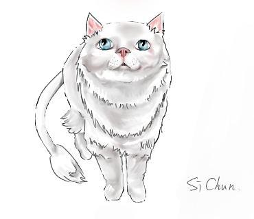 糸糸絵所 -  糸糸絵所 -