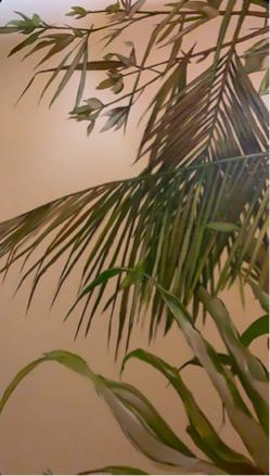 楊博凱 - ChocoLab 巧克力實驗室 壁畫繪製