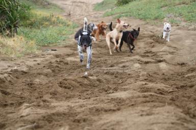 Miniboardinghouse -  Miniboardinghouse -