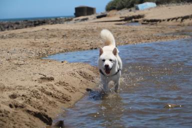 Miniboardinghouse -  Miniboardinghouse -