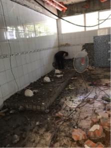 許見駿 - 學校拆案