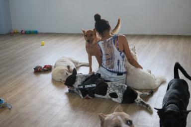 Miniboardinghouse -  Miniboardinghouse -