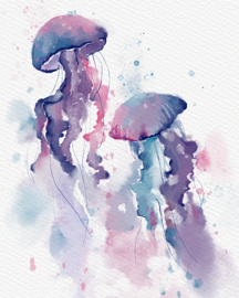 Ivy - Procreate 繪圖