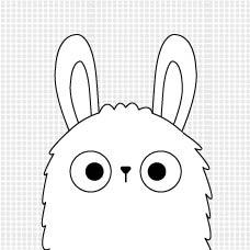 提供頭髮去背服務的專家賴姿靜