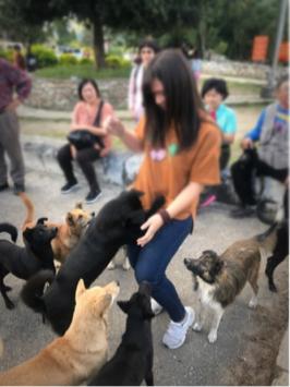 東東媽 / 代客鏟屎、散步 - 