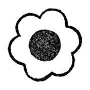 提供法語教學服務的專家顏立昀