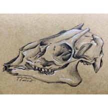 靈感游游 - 素描11