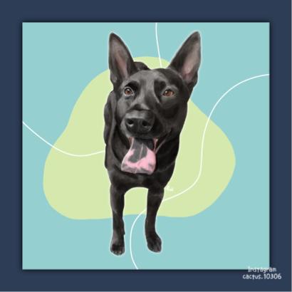 酸酸不專業設計個人工作室 -  寵物似顏繪