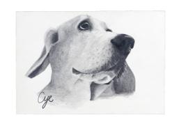 王馨儀 - 高中素描作品 王馨儀 - 高中素描作品