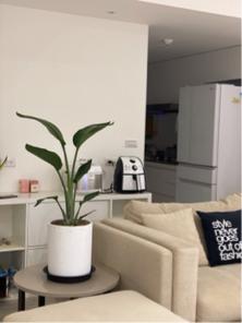 植&泥 綠空間設計 - 居家綠植