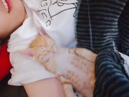 Jill教練 - 代班鏟屎官? Jill教練 - 代班鏟屎官?