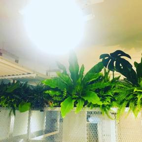 植&泥 綠空間設計 - 商業綠空間