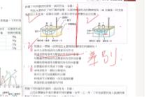 你好 - 線上教學-國一理化