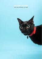 Woof Woof Pet Photography 寵物攝影 -  Woof Woof Pet Photography 寵物攝影 -