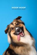 Woof Woof Pet Photography 寵物攝影 - 寵物肖像 Woof Woof Pet Photography 寵物攝影 - 寵物肖像