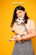 Woof Woof Pet Photography 寵物攝影 - 寵物肖像 Woof Woof Pet Photography 寵物攝影 - 寵物肖像