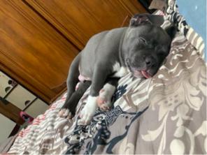 sunnyhung  - 睡懶覺的OD