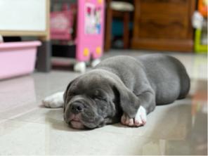 sunnyhung  - Good 訓練上廁所?⋯⋯成功