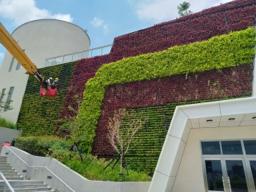 鉅園營造 - 大型綠牆種植維護