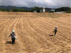 鉅園營造 - 滯洪池撒草籽綠美化