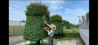 岩園綠化 - 樹木修剪