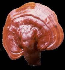 吳清淵 - 	PC透過Comport通訊埠連接Lora(可視為中繼站)， Lora可支援多區、每一區可支援15座、每一座可支援15個倉庫、每個倉庫最多可支援15個不同類型的感應器/控制開關(可視需求安裝感應器數量)，故本系統有強大的擴充性能, 可視需求彈性地擴增感應器/控制開關，且動態地顯示有連接的感應器.
	系統提供資料備份與刪除等資料庫維護功能.