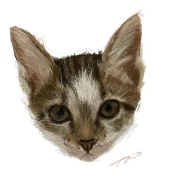 Mouki Art -  寵物像繪製