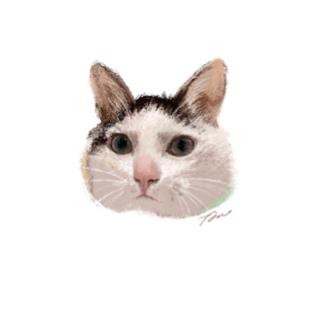 Mouki Art - 寵物像繪製