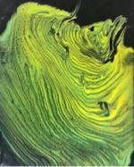 一尾老師 - 流體藝術