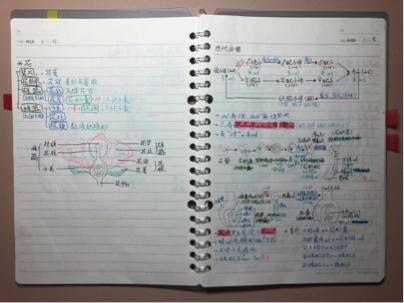 12 - 生物-植物生殖