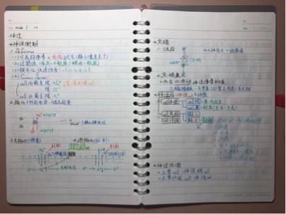 12 - 生物筆記-神經