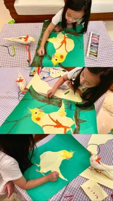 史郁馨 - 像太陽一樣的鸚鵡！有著可愛的腮紅玄鳳來了喔！