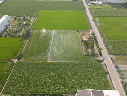 Sam - 空拍農地 Sam - 空拍農地