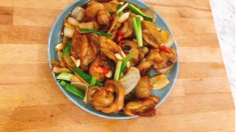 管家.保母.月嫂.煮餐服務.道路駕駛教學 - 