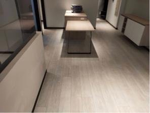 小詹 優質SPC、歐洲進口超耐磨 - 