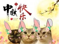 賴巧倫 - 中秋祝賀卡片