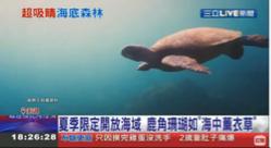 澎湖囝仔 薛小文 - 一定要上電視的