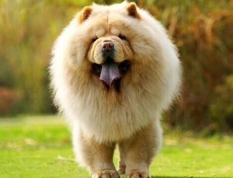 提供打字速度測試服務的專家阿鬆